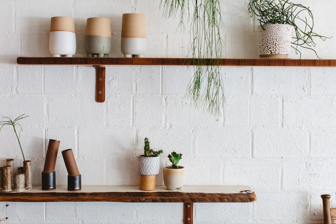 Wooden wall shelves supported by visible brackets and holding small plants.